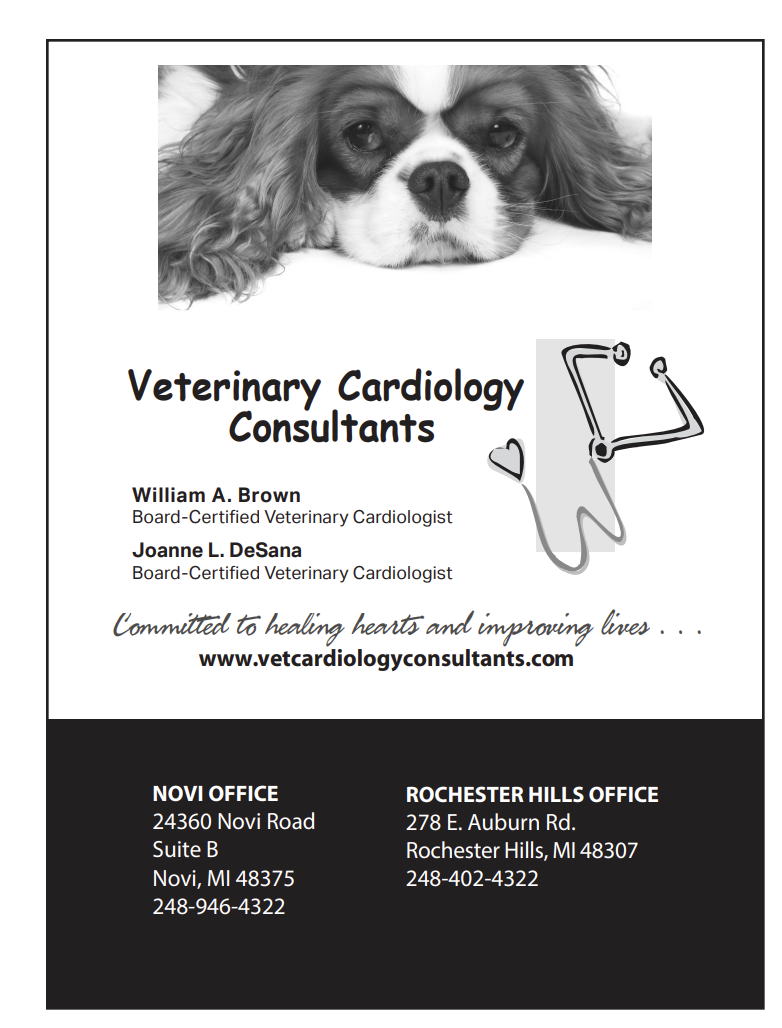VCC Ad